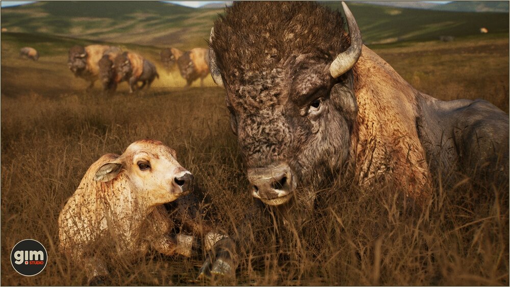 Animalia - American Bison (pack) 