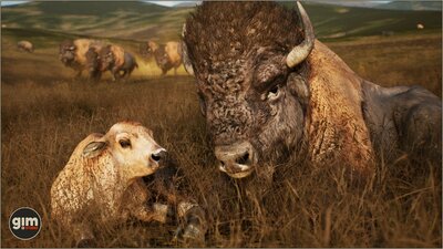 Animalia - American Bison (pack) 