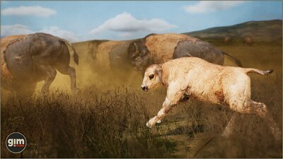 Animalia - American Bison (pack) 