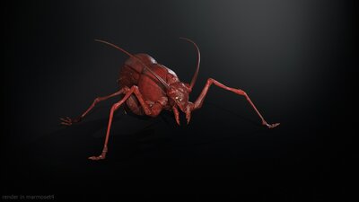 cockroach1 