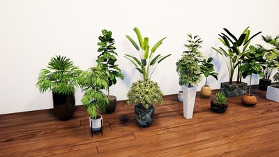 Plant And Pots Pack I 