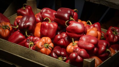 Food Props: Fruits and Vegetables vol.3 