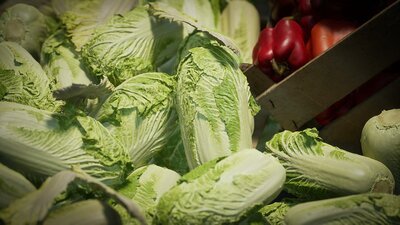 Food Props: Fruits and Vegetables vol.3 