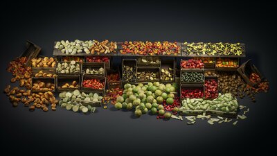 Food Props: Fruits and Vegetables vol.3 