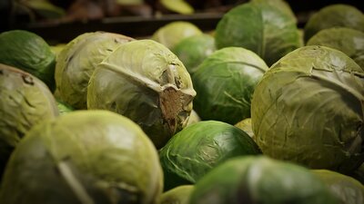 Food Props: Fruits and Vegetables vol.3 