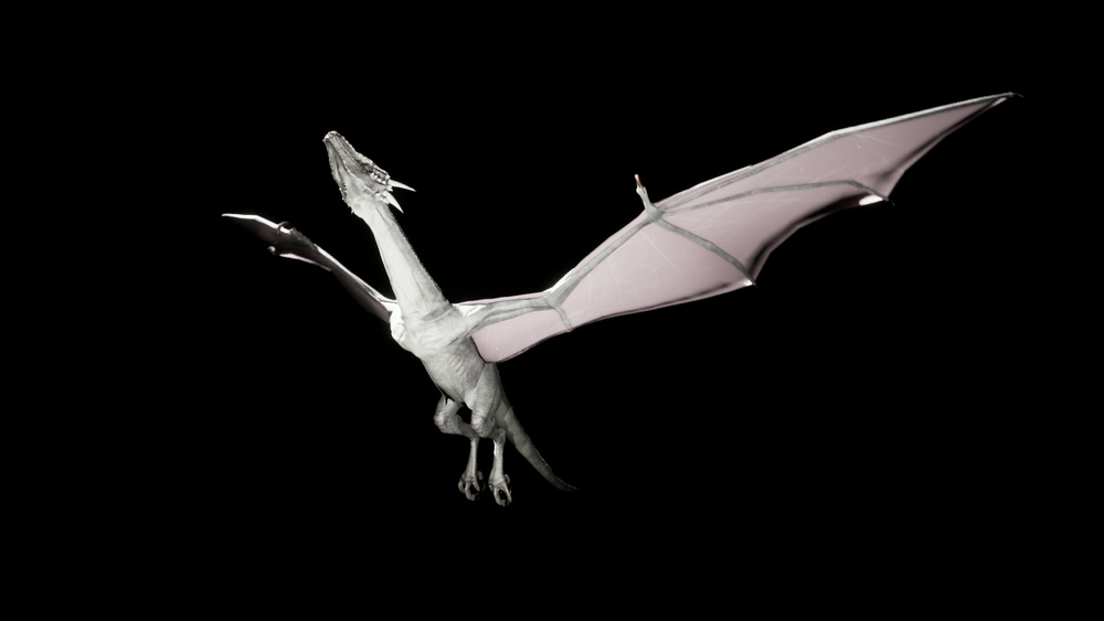 Bipedal dragon Wyvern 