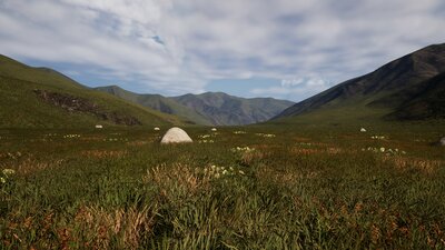 225 Square Km Grassland Ecosystem 