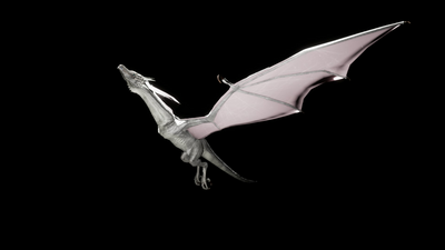 Bipedal dragon Wyvern 