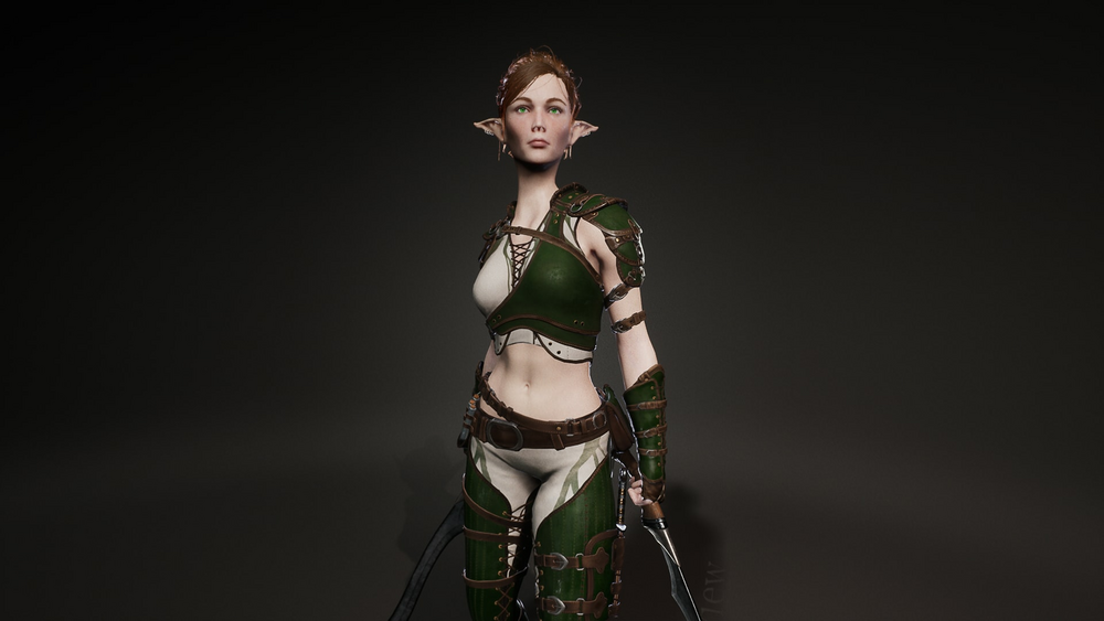 Elf Mercenary 