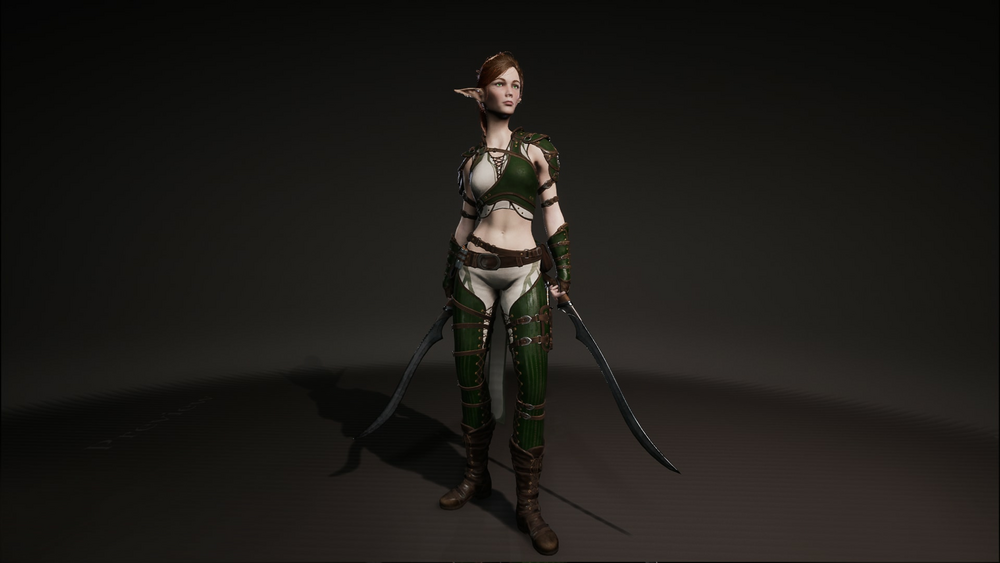 Elf Mercenary 