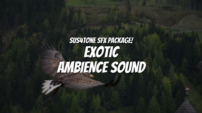 Exotic Ambience Vol.1