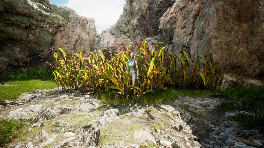 Realistic Interactive Foliage Plants with PivotPainter2 Wind System - (R24) 