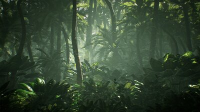 Tropical Nature / 140+ Assets 