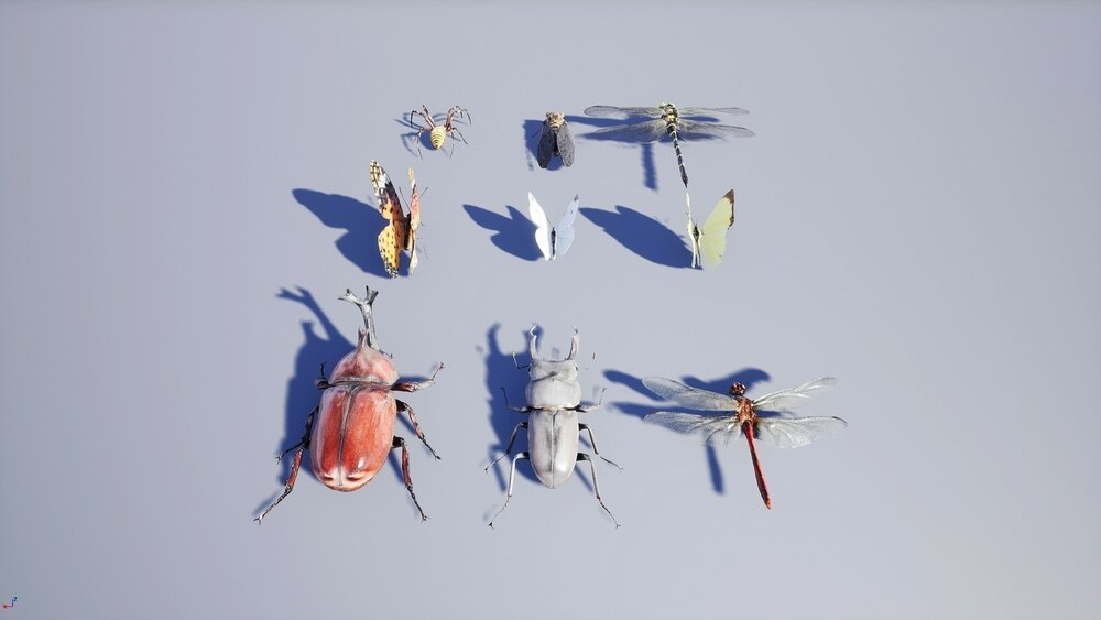 Japanese Insect Pack 