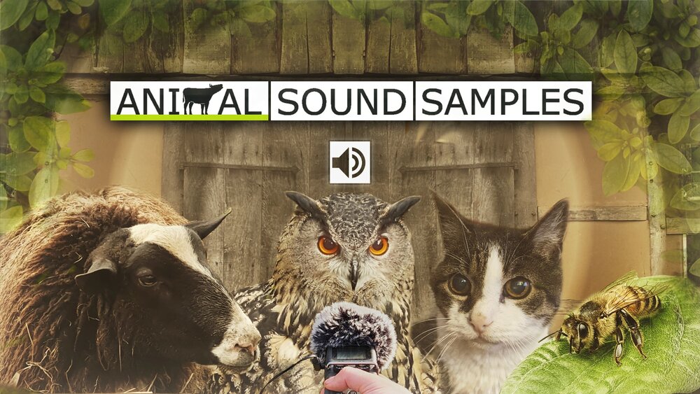 Animal Sound Samples 