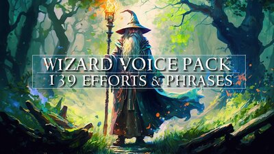 Wizard Voice Pack 139 Efforts and Phrases