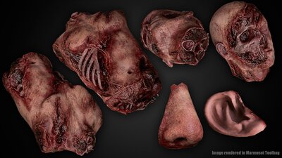 Bloody Human Remains ( Rigged ) 