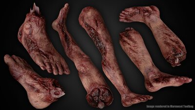 Bloody Human Remains ( Rigged ) 