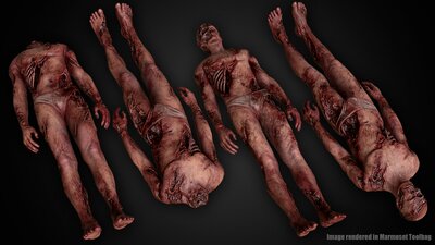 Bloody Human Remains ( Rigged ) 