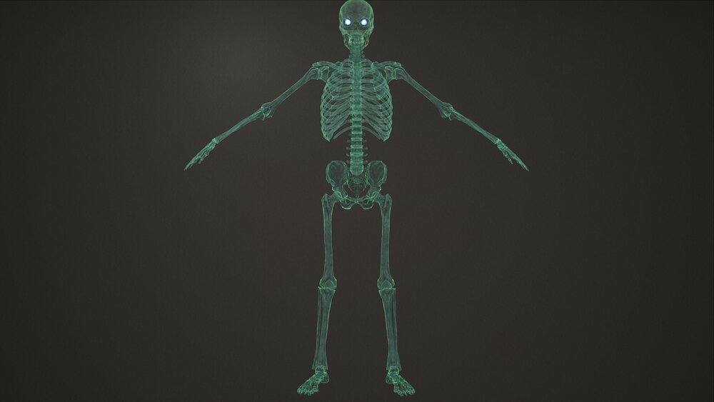 Skeleton Archer 