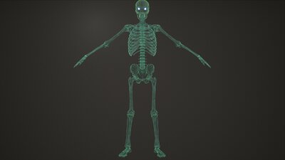 Skeleton Archer 