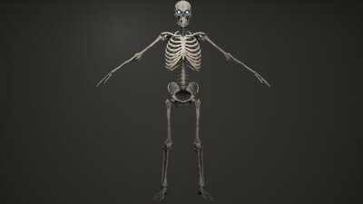 Skeleton Archer 