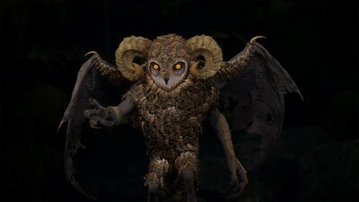 Owl Creature 