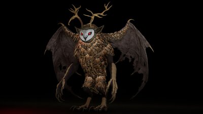 Owl Creature 