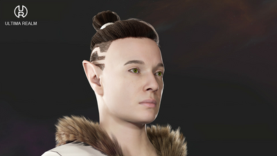 Elven Bladedancer - Male Elf 