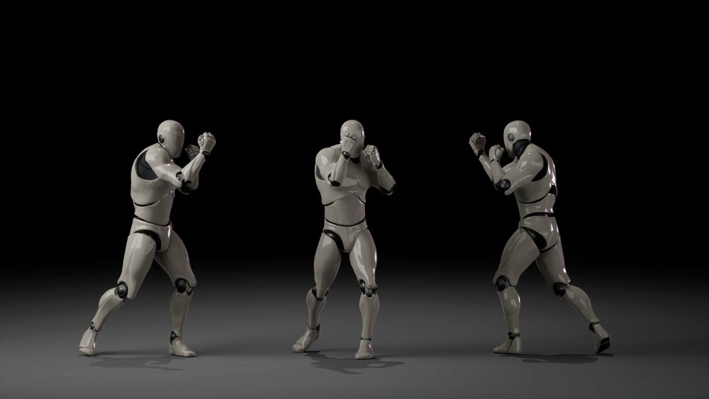 Combat animations - Kickboxing and Muay Thai V1 