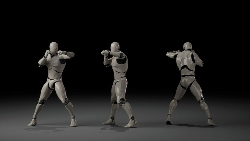 Combat animations - Kickboxing and Muay Thai V1 