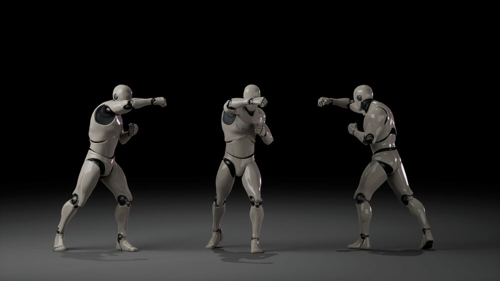 Combat animations - Kickboxing and Muay Thai V1 