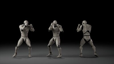 Combat animations - Kickboxing and Muay Thai V1 