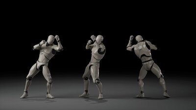 Combat animations - Kickboxing and Muay Thai V1 