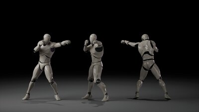 Combat animations - Kickboxing and Muay Thai V1 