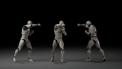 Combat animations - Kickboxing and Muay Thai V1 