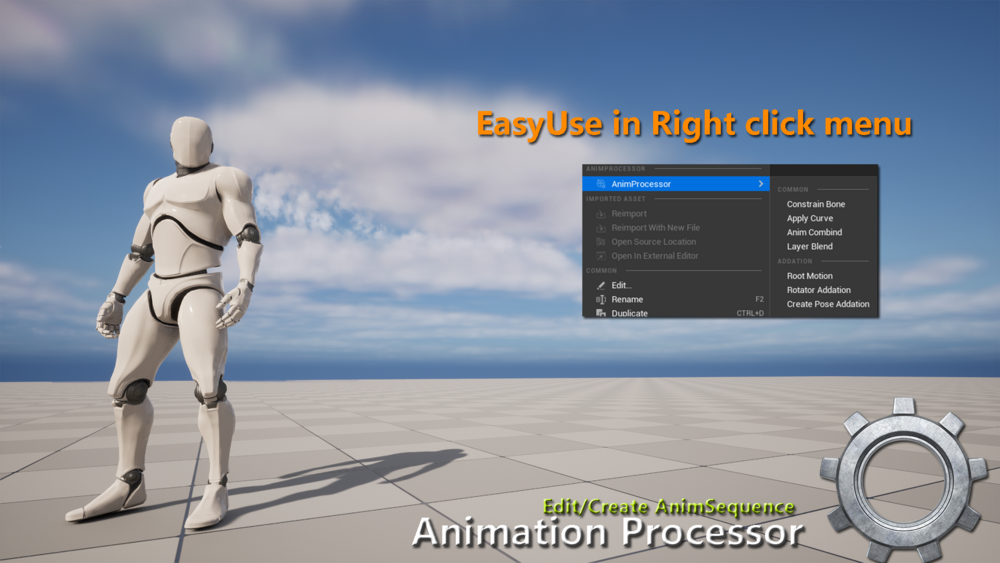 Animation Processor 