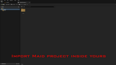 M.A.I.D (Assets/project cleaner and renamer) 