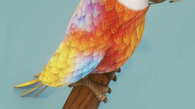 Cartoon Ara Parrot Red-Yellow-Blue Animated 3D Model 