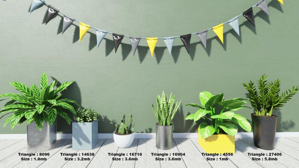 Tropical House Plants 