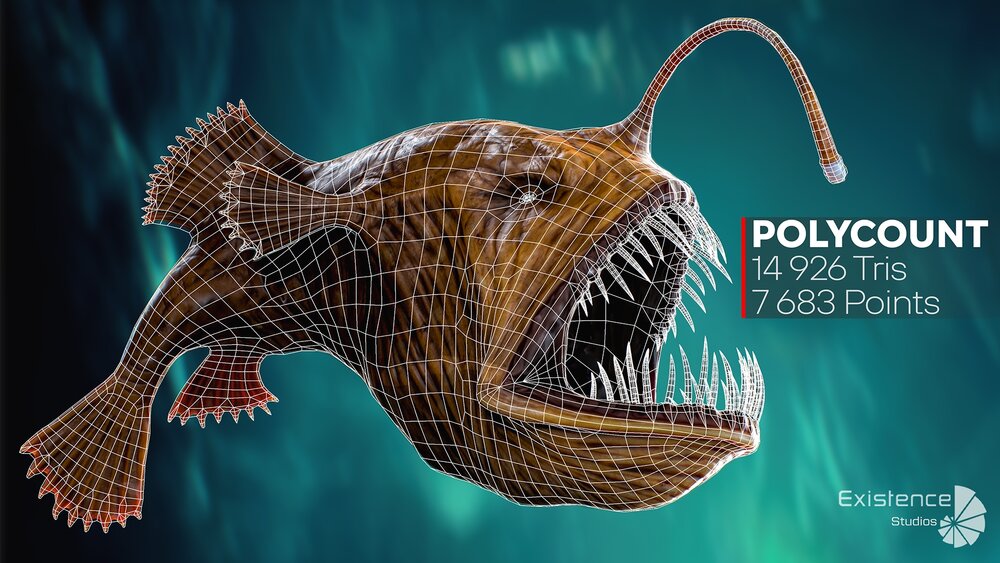 The Anglerfish 02 Curse. low poly fish. Ocean predator. Angler fish 3d model 