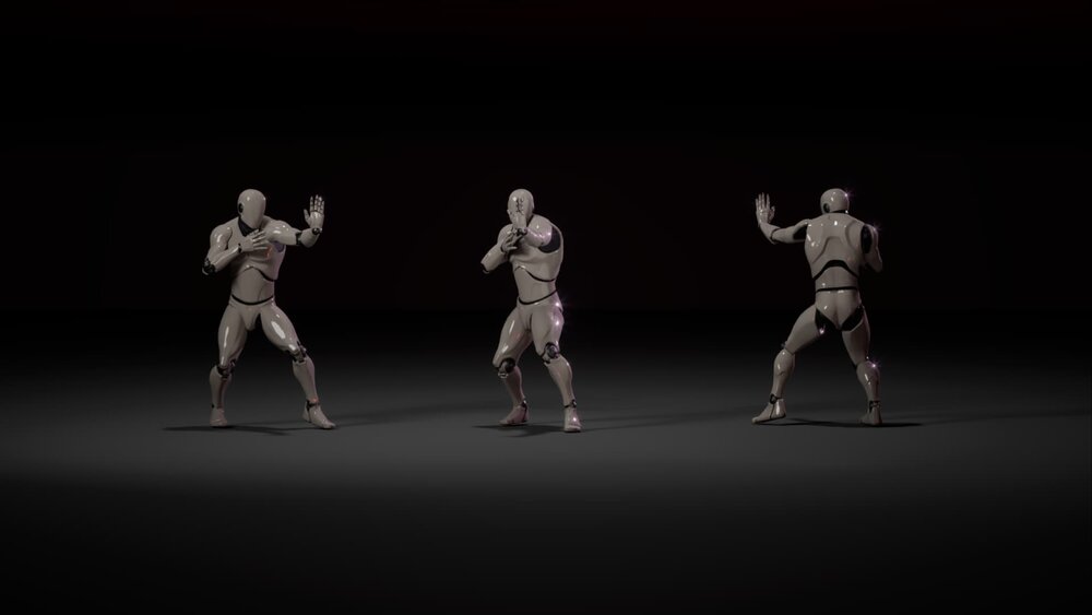 Combat animations - Kung fu V1 