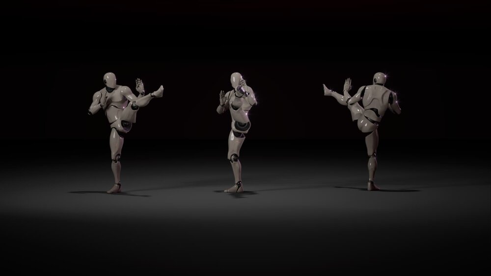 Combat animations - Kung fu V1 