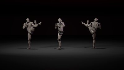 Combat animations - Kung fu V1 