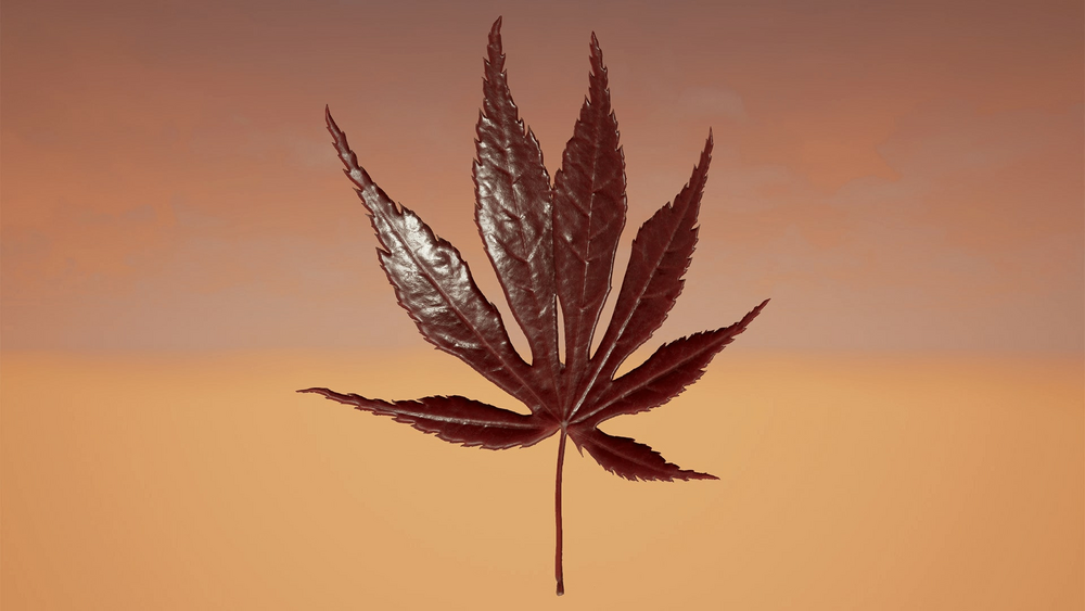 Klian Photorealistic Leaves / Foliage Pack 4K 