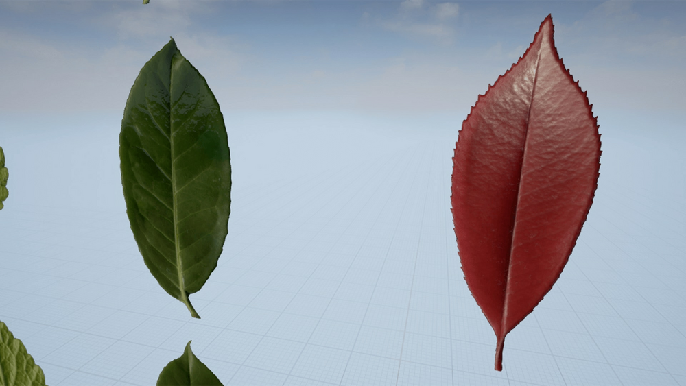 Klian Photorealistic Leaves / Foliage Pack 4K 