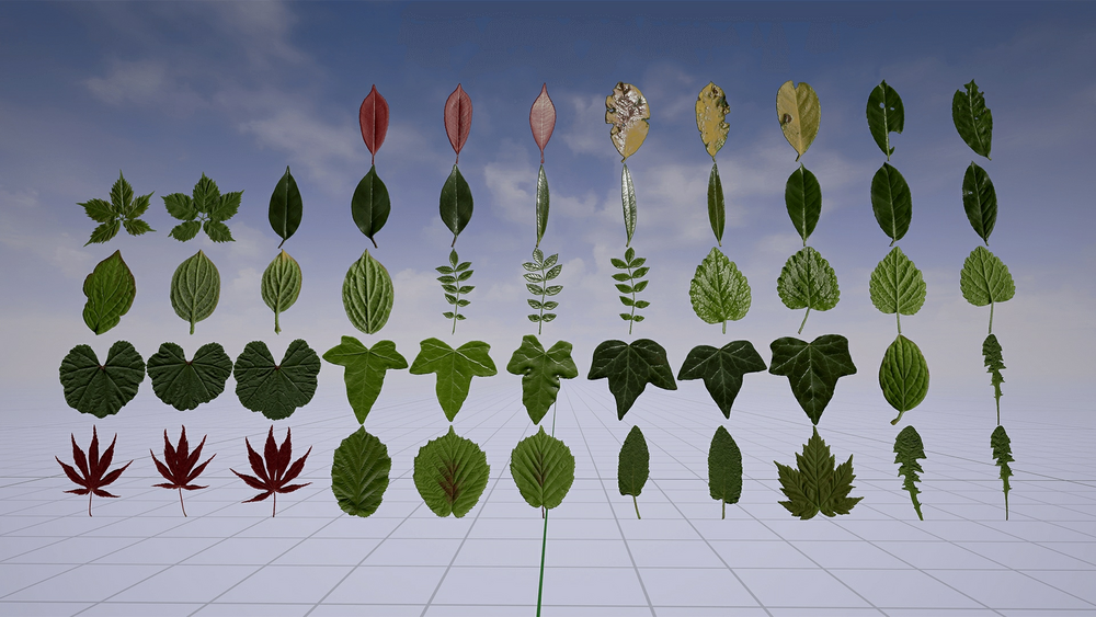 Klian Photorealistic Leaves / Foliage Pack 4K 