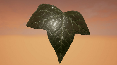 Klian Photorealistic Leaves / Foliage Pack 4K 