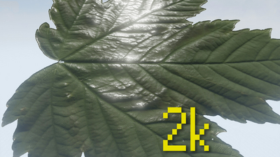 Klian Photorealistic Leaves / Foliage Pack 4K 