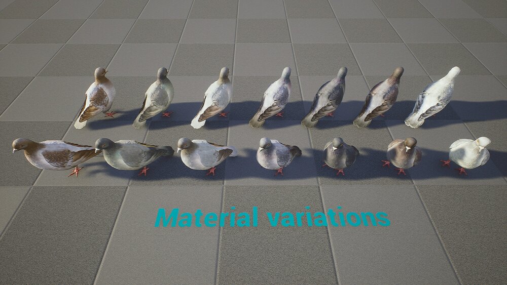 Realistic 3D Pigeon & Animations Pack 